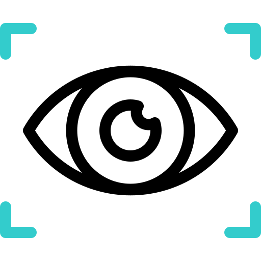 retina-scanner